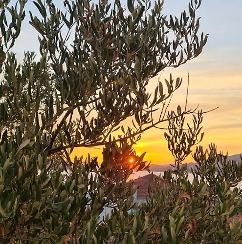 Brand New 3br With Rooftop Sea View & Pool Fiorentini Ciovo *