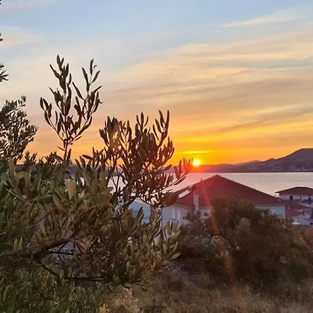 Apartamento Brand New 3br With Rooftop Sea View & Pool Fiorentini Ciovo Trogir